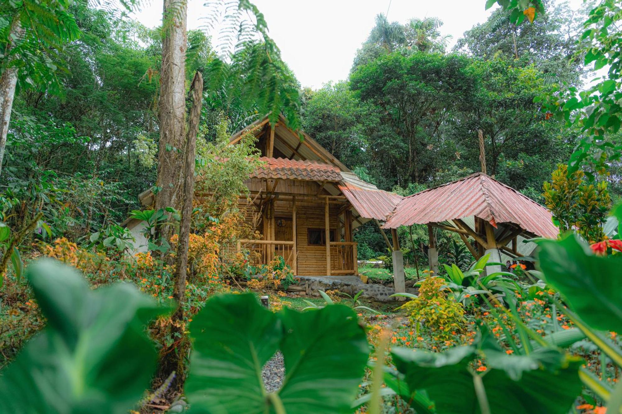 Finca Las Palmas Ecolodge Пуйо Экстерьер фото