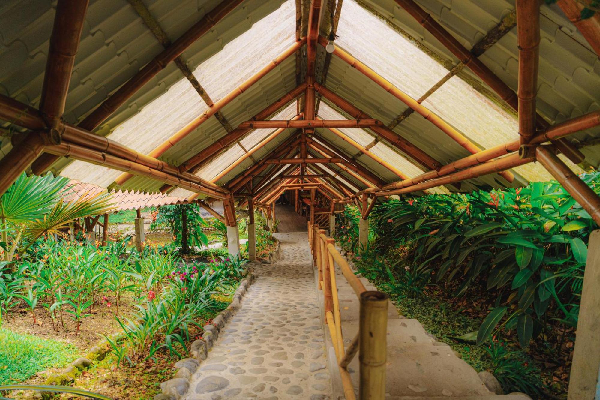 Finca Las Palmas Ecolodge Пуйо Экстерьер фото